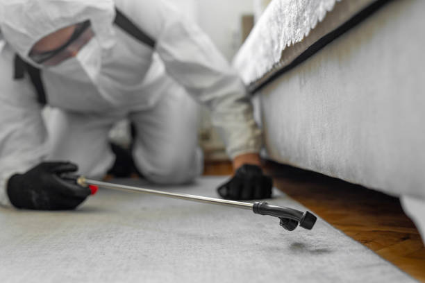 Professional Termite Control technician working in Prunedale, CA