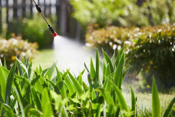 24/7 Emergency Termite Control experts in Prunedale, CA